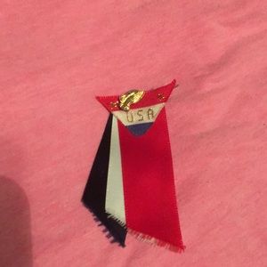 Antique Ribbon pin